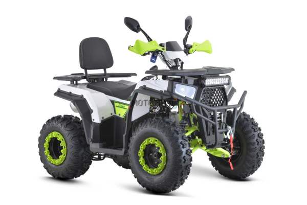 Квадроцикл FXMOTO (ФХМото) WASP 200 LUX белый (машинокомплект) | Мототека